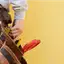 Handyman repair service in Kansas City, KS for home fixes and improvements