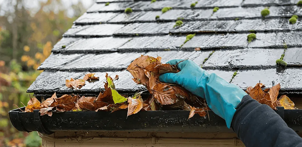 Gutter cleaning technician clearing wet leaves from roof gutters in Kansas City, KS